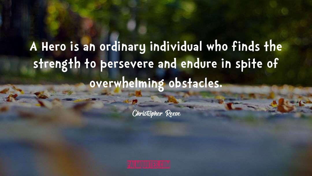 Persevere quotes by Christopher Reeve