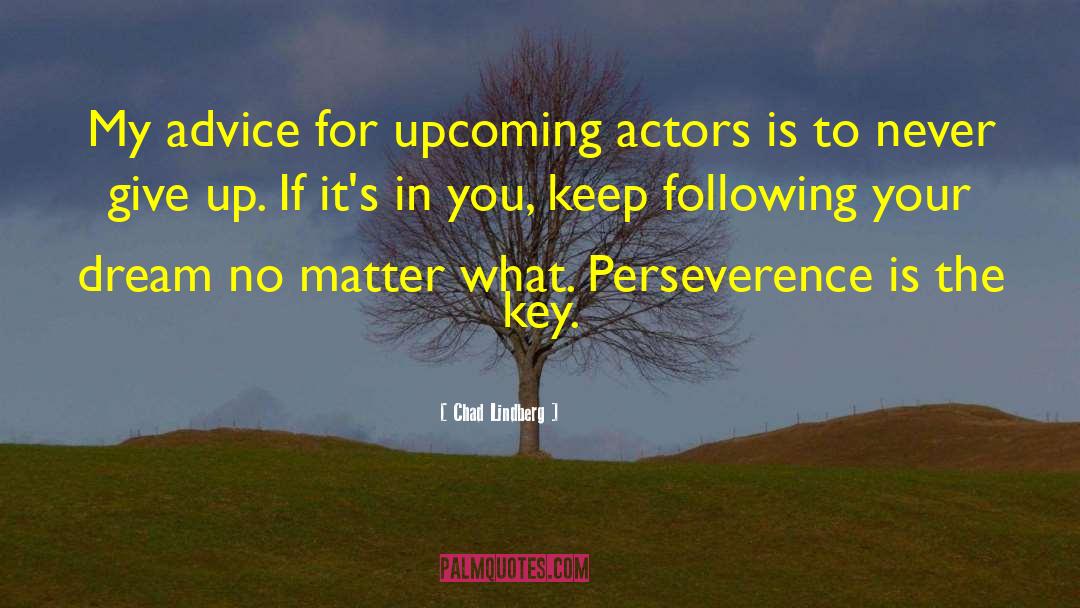 Perseverence quotes by Chad Lindberg