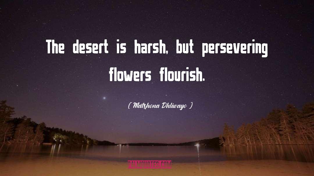 Persevering quotes by Matshona Dhliwayo