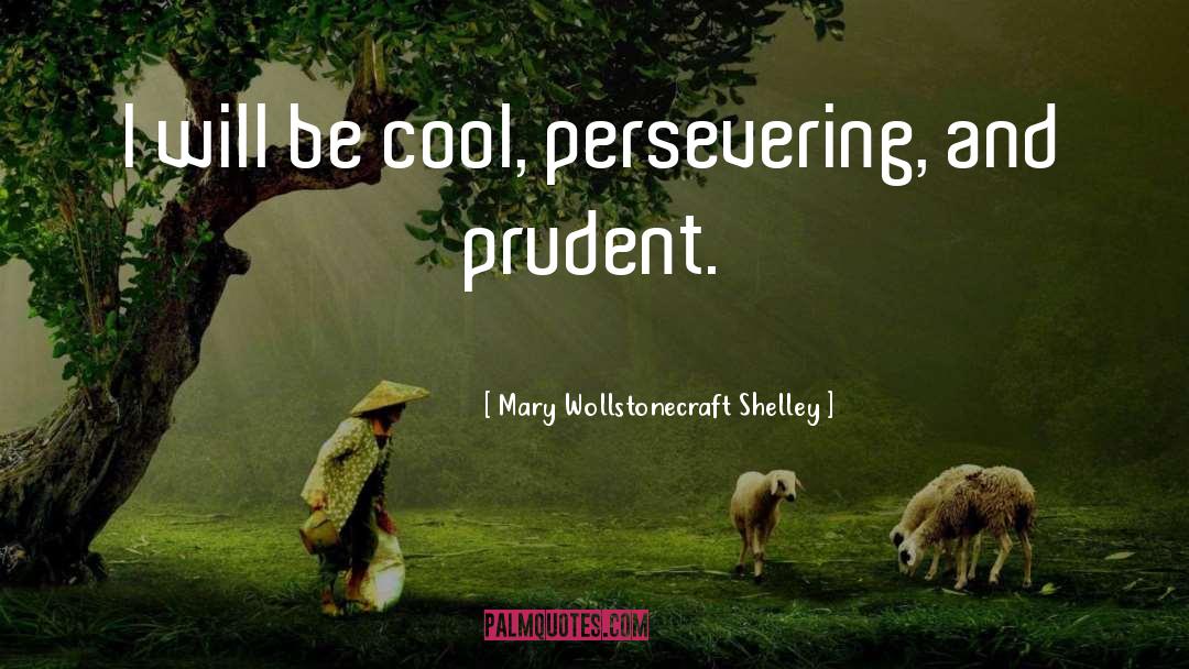 Persevering quotes by Mary Wollstonecraft Shelley