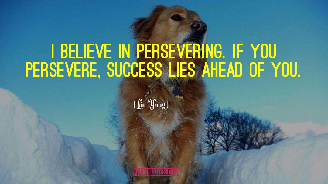 Persevering quotes by Liu Yang