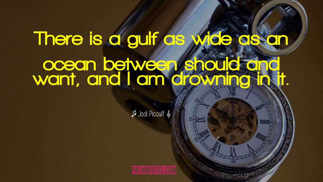 Persian Gulf quotes by Jodi Picoult