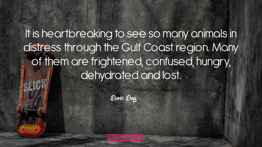 Persian Gulf quotes by Doris Day