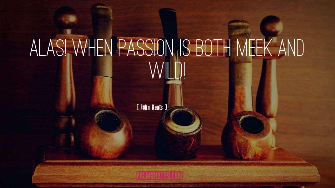 Persistence And Passion quotes by John Keats