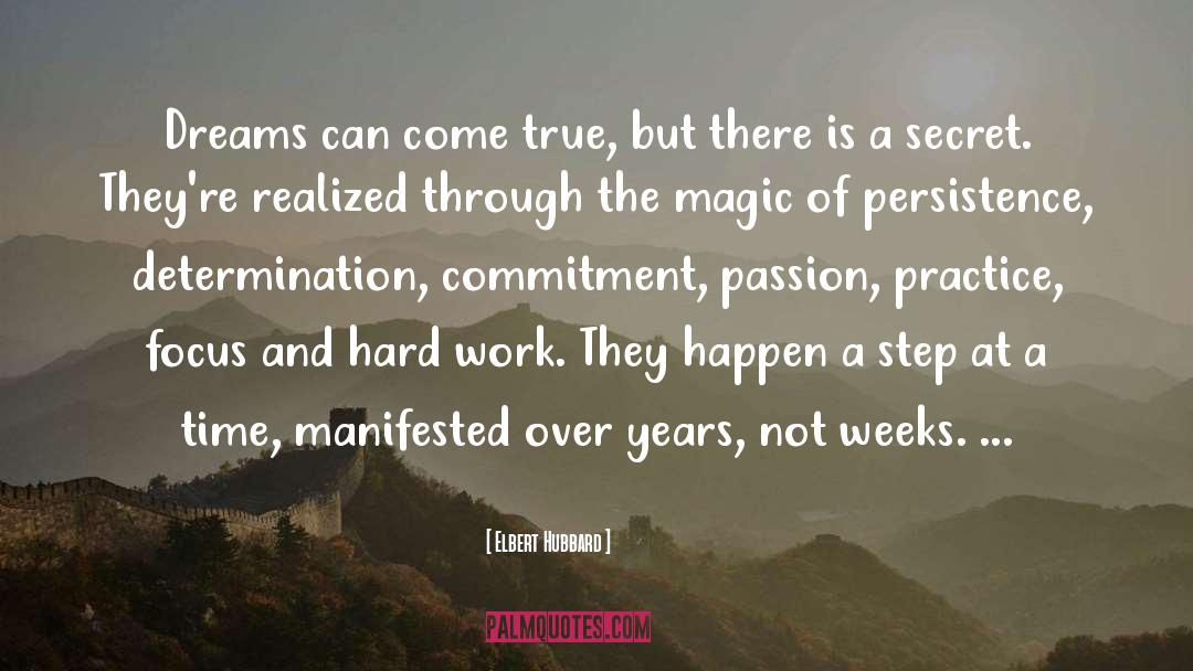 Persistence Determination quotes by Elbert Hubbard