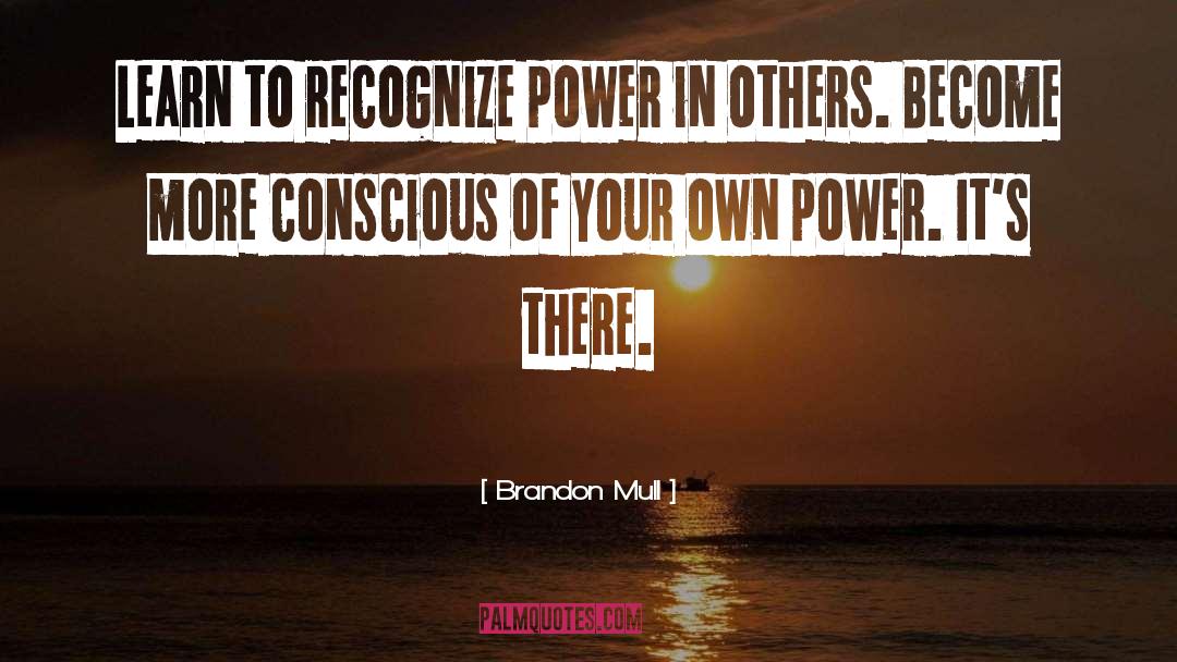 Person In Power quotes by Brandon Mull