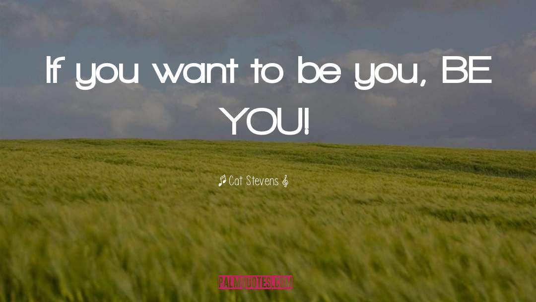 Person You Want To Be quotes by Cat Stevens