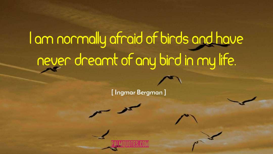 Persona Ingmar Bergman quotes by Ingmar Bergman