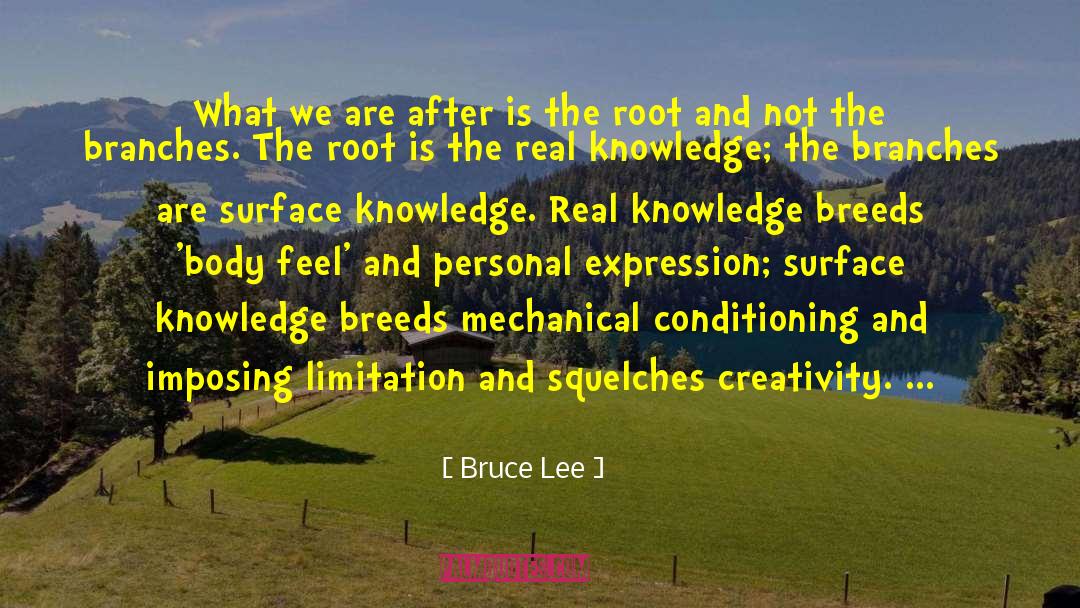 Personal Expression quotes by Bruce Lee