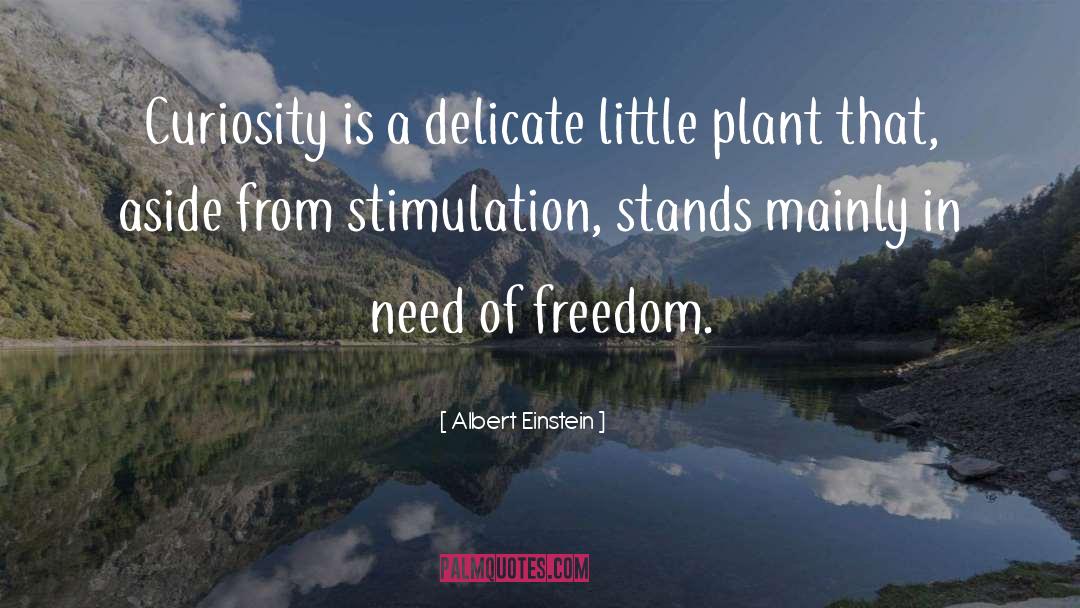 Personal Freedom quotes by Albert Einstein