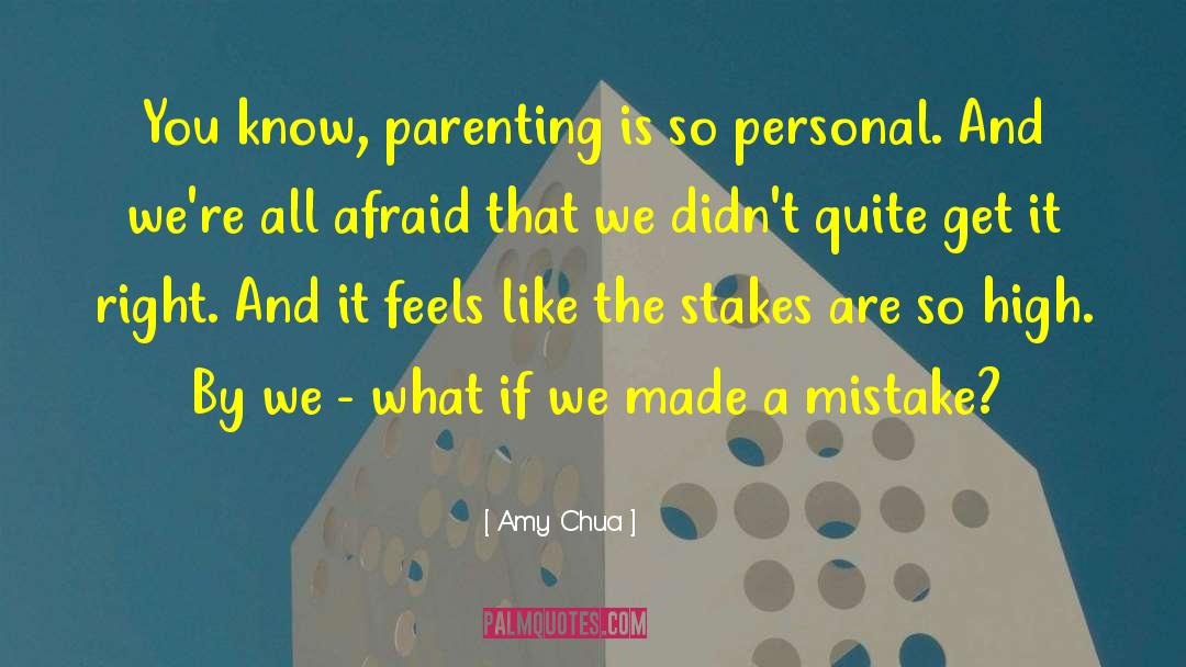 Personal Mission quotes by Amy Chua