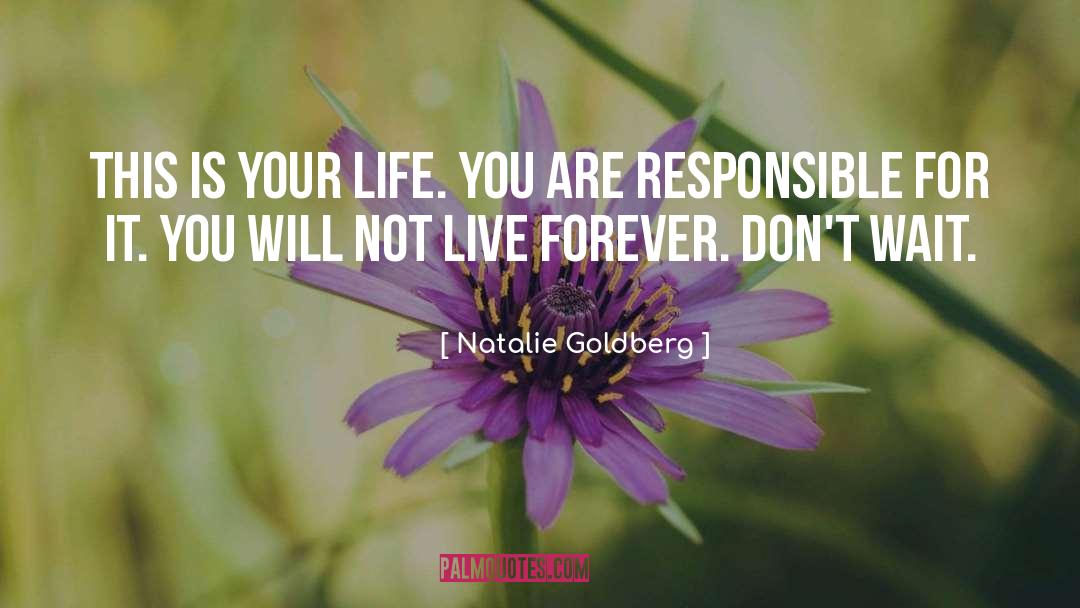 Personal Responsibility quotes by Natalie Goldberg