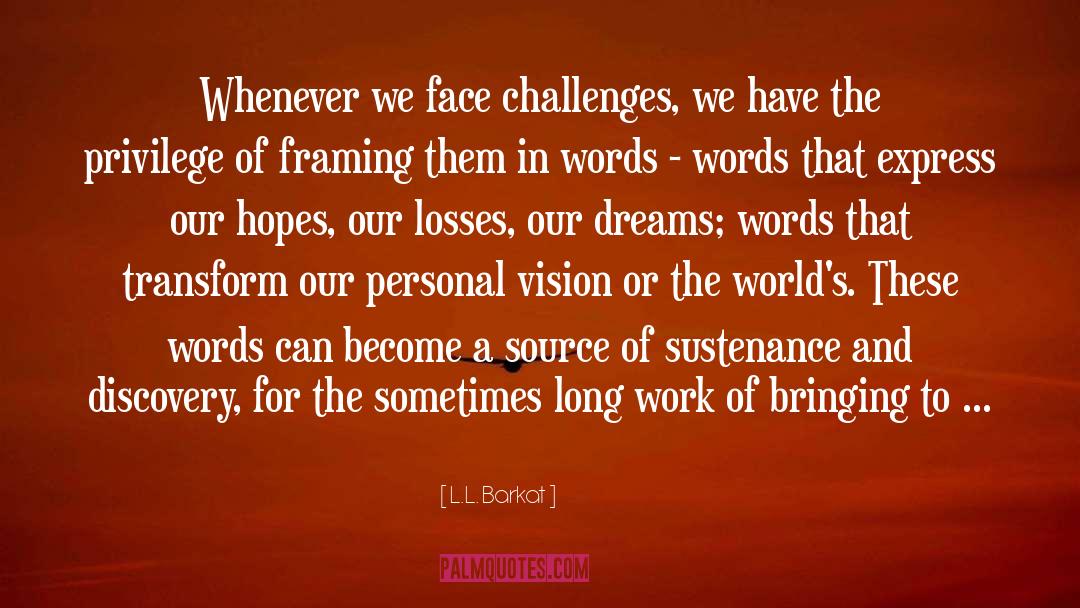 Personal Vision quotes by L.L. Barkat