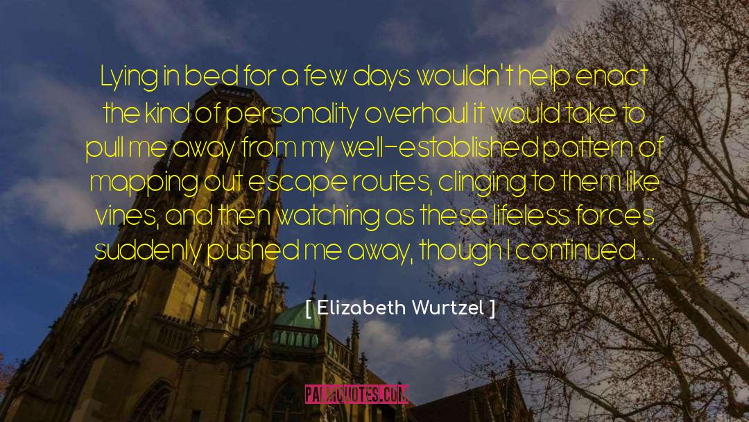 Personality Tests quotes by Elizabeth Wurtzel