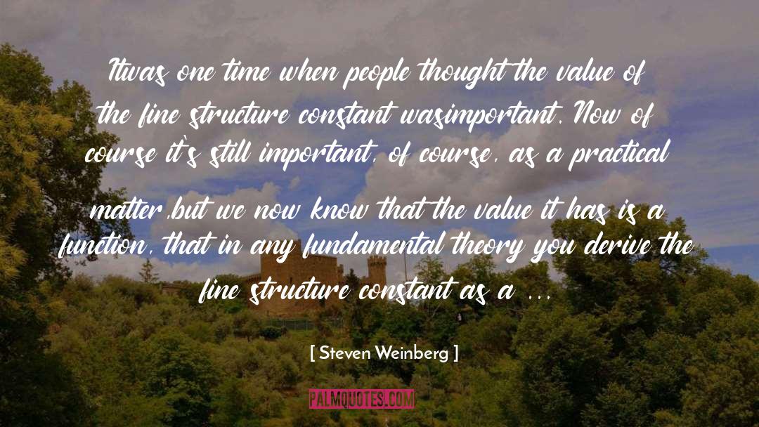 Personality Theory quotes by Steven Weinberg
