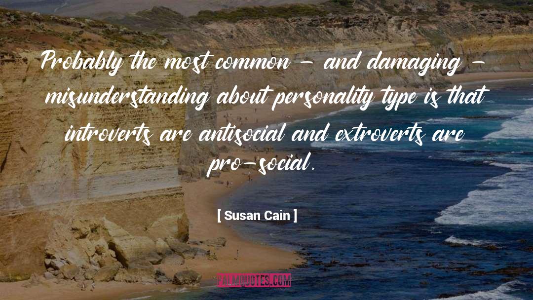 Personality Type quotes by Susan Cain