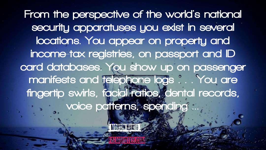 Perspective quotes by Mohsin Hamid