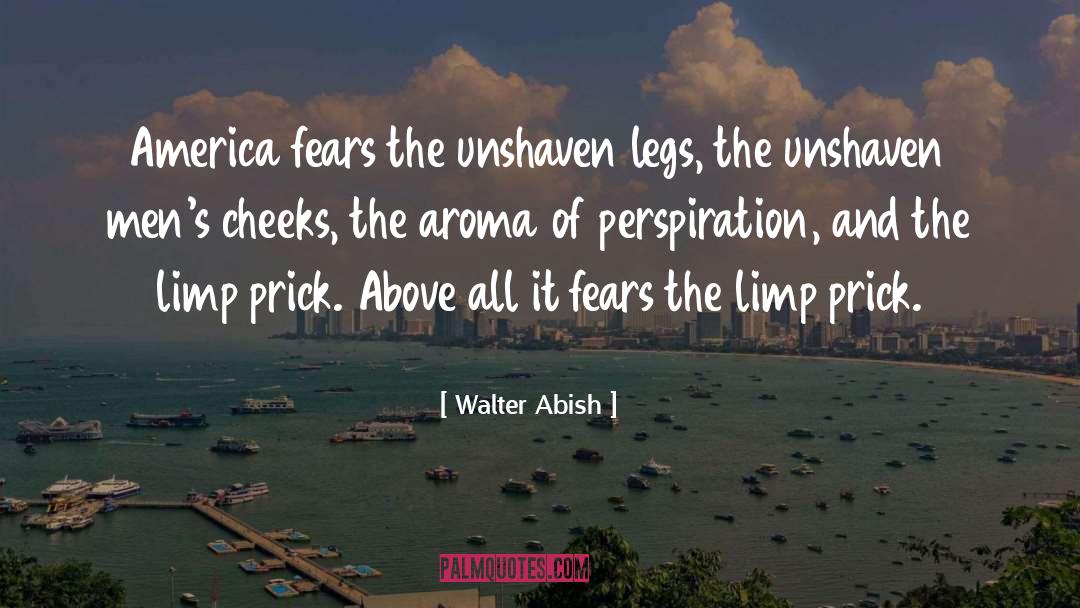 Perspiration quotes by Walter Abish