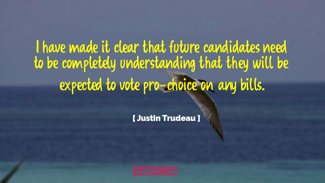 Persuasive Voting quotes by Justin Trudeau