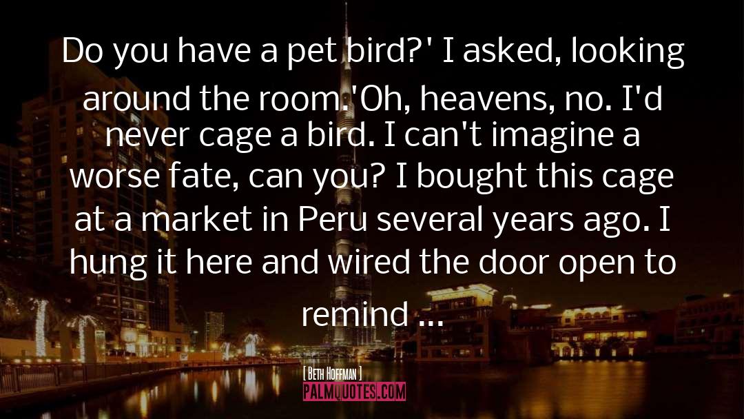 Peru quotes by Beth Hoffman