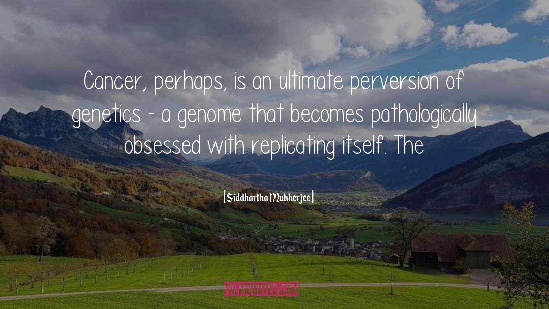 Perversion quotes by Siddhartha Mukherjee
