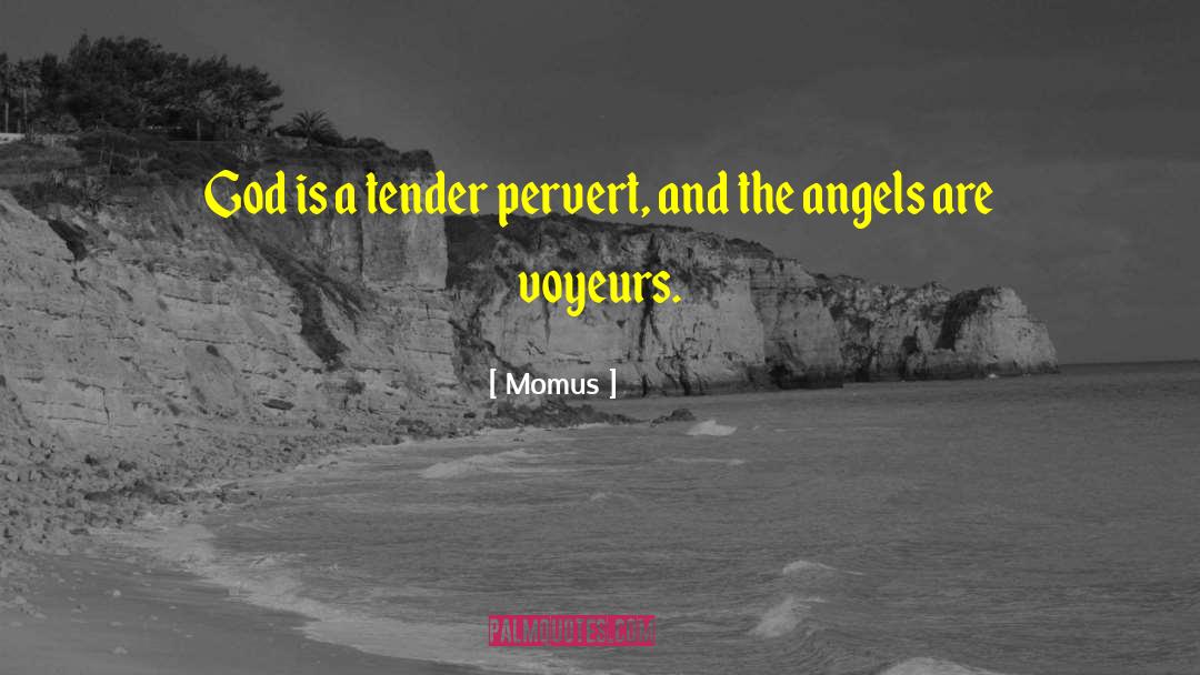 Pervert quotes by Momus