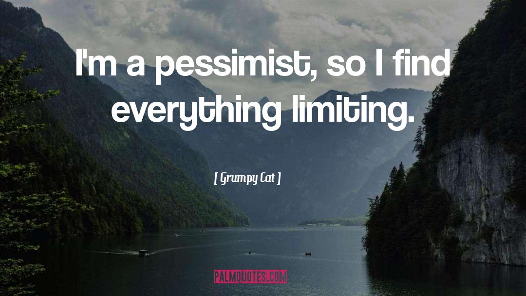 Pessimist Optimist quotes by Grumpy Cat
