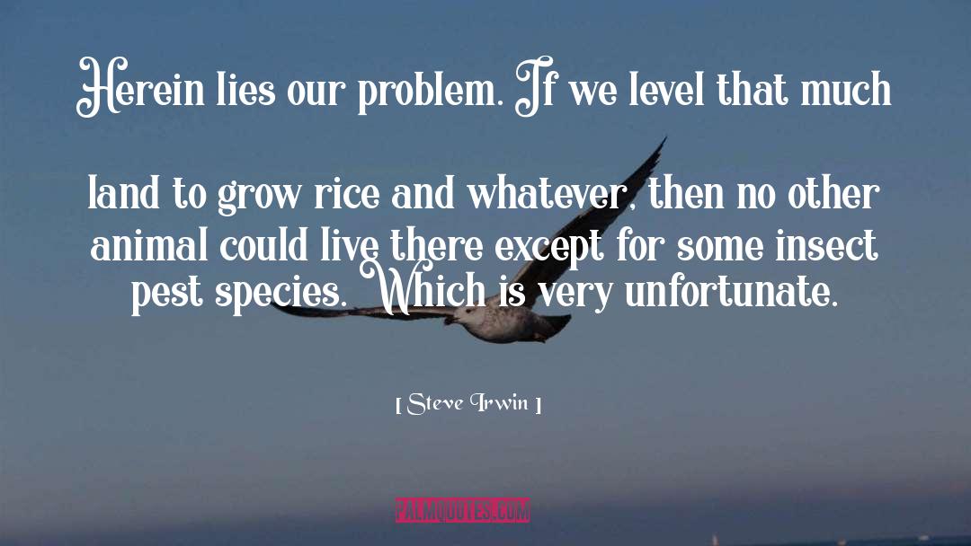 Pest Eradication quotes by Steve Irwin