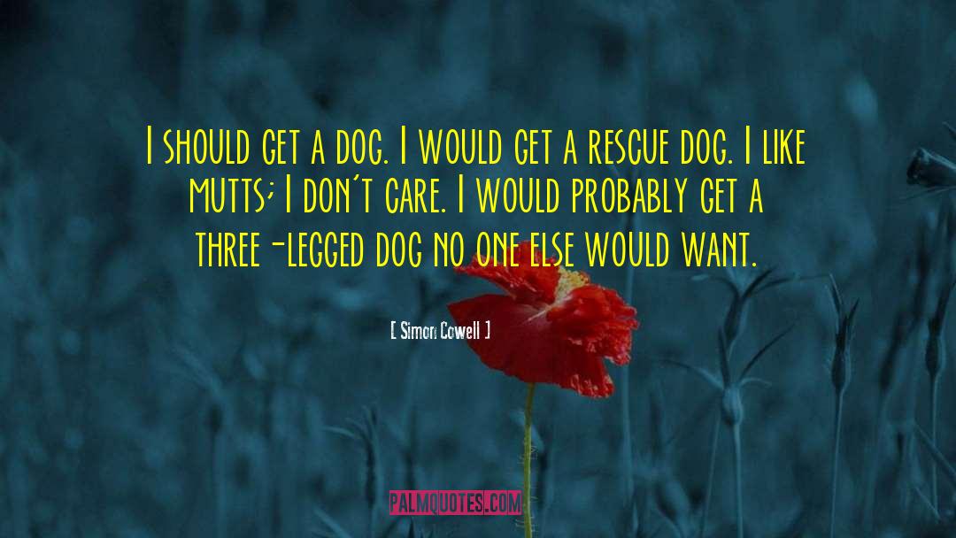 Pet Dog quotes by Simon Cowell