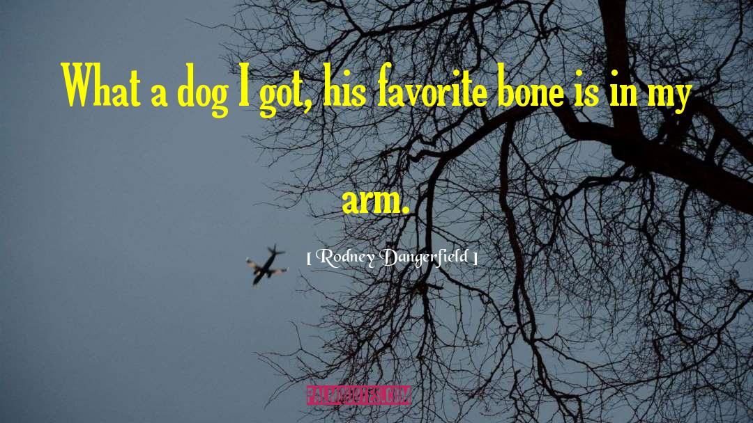 Pet Dog quotes by Rodney Dangerfield