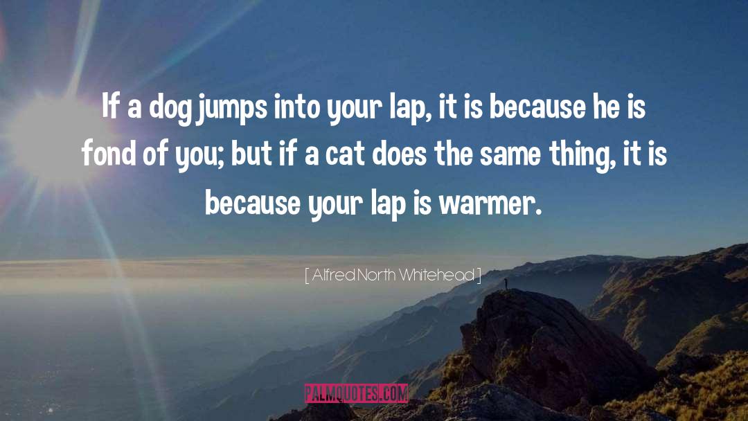 Pet Dog quotes by Alfred North Whitehead