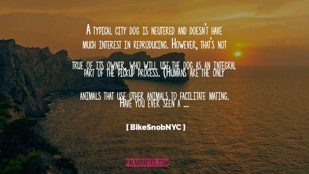 Pet Dog quotes by BikeSnobNYC