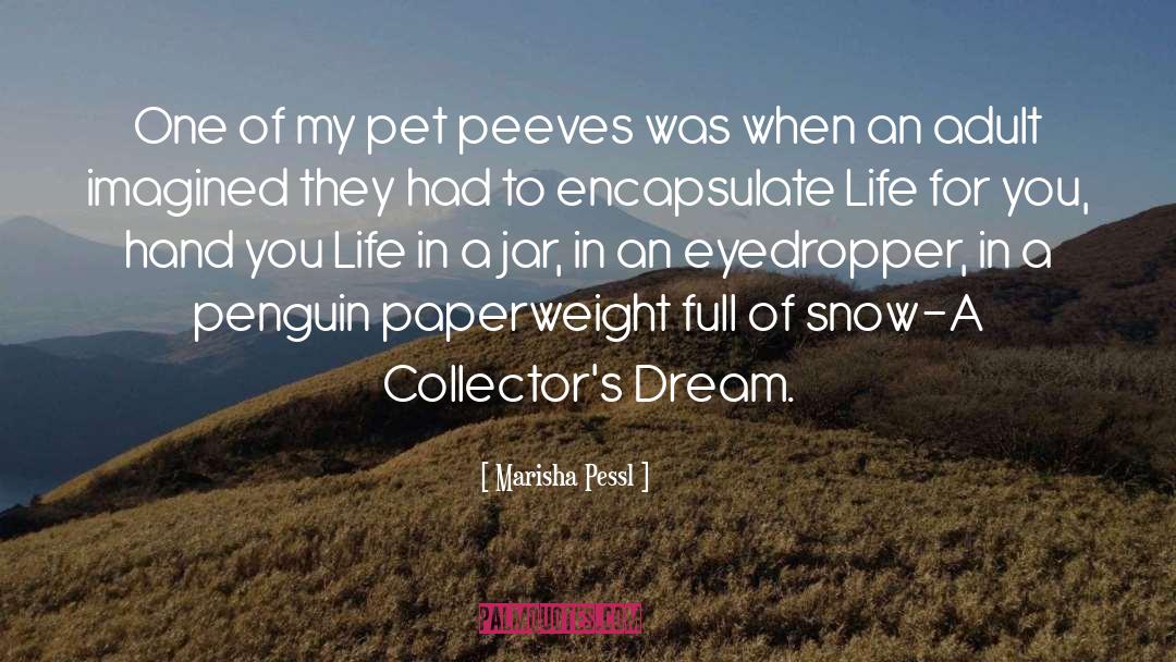 Pet Peeves quotes by Marisha Pessl