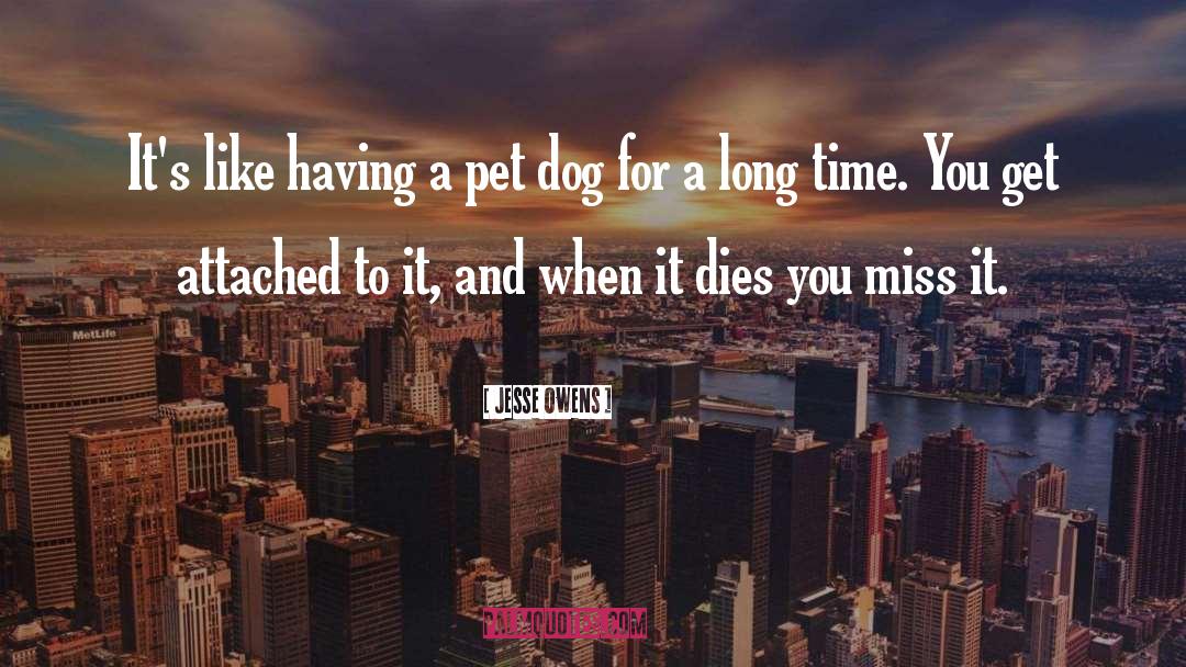 Pet quotes by Jesse Owens