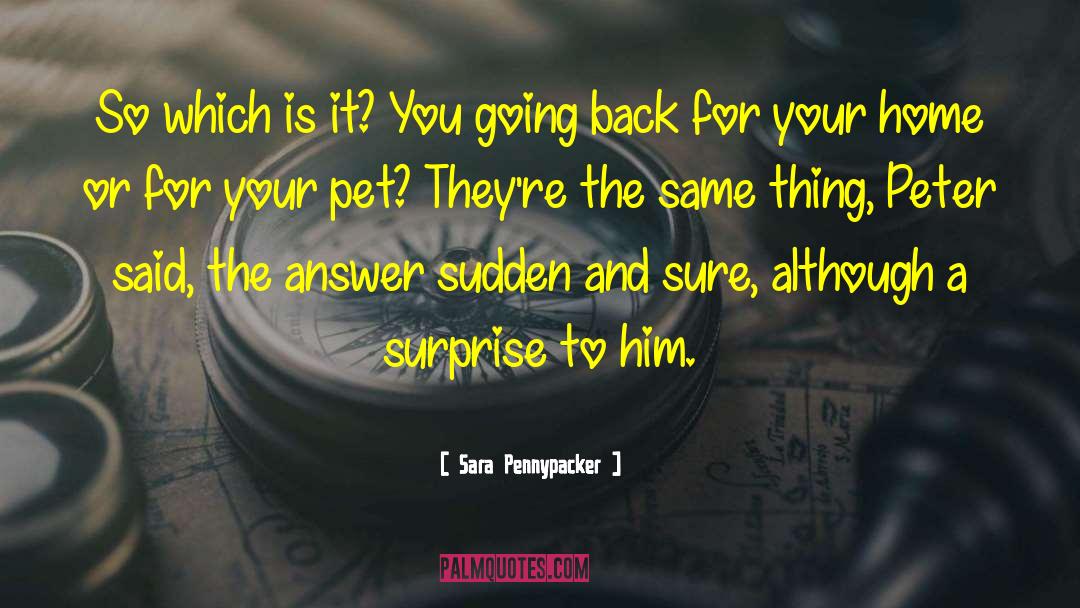 Pet Urn quotes by Sara Pennypacker