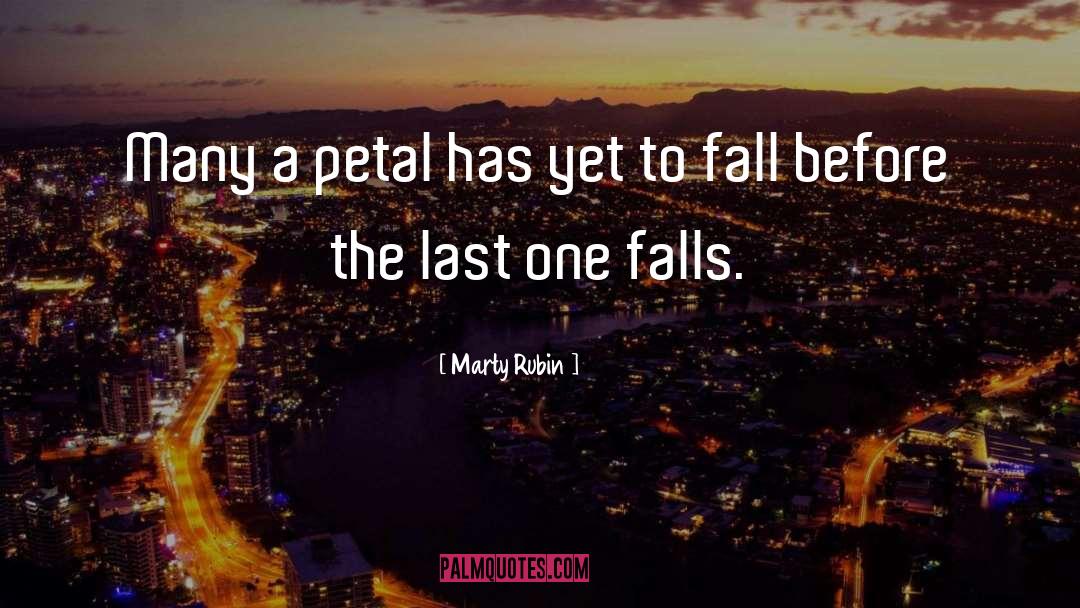 Petal quotes by Marty Rubin