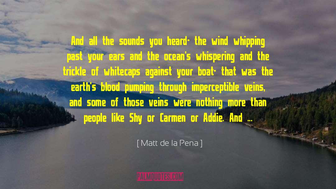 Petals On The Wind quotes by Matt De La Pena