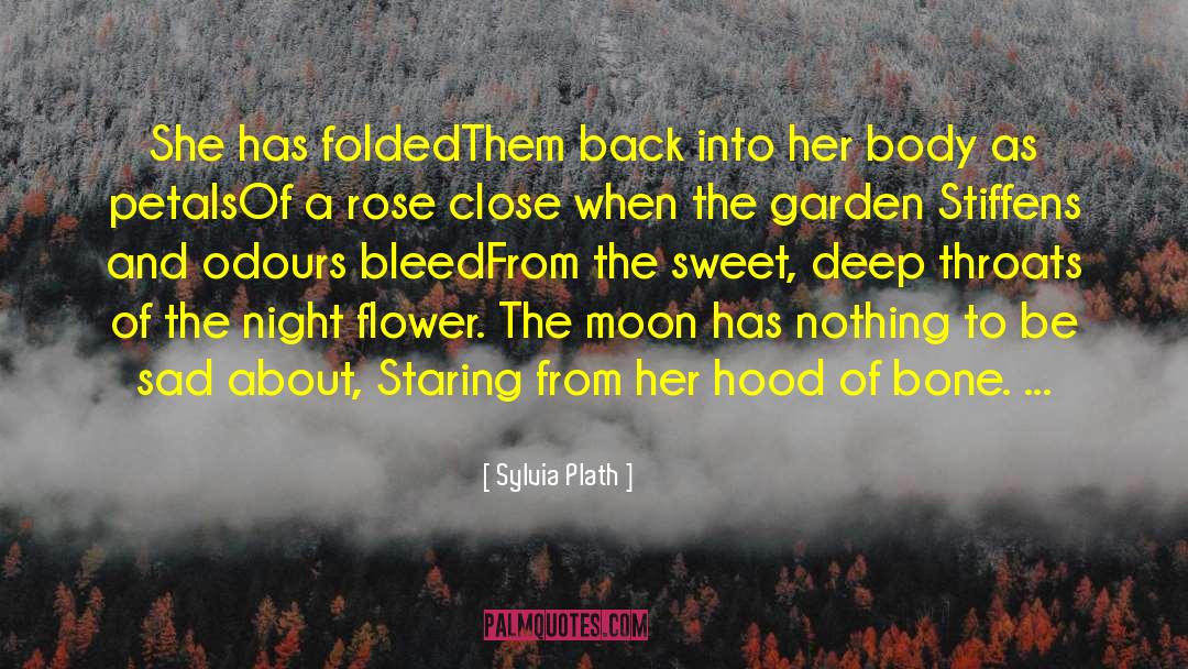 Petals quotes by Sylvia Plath