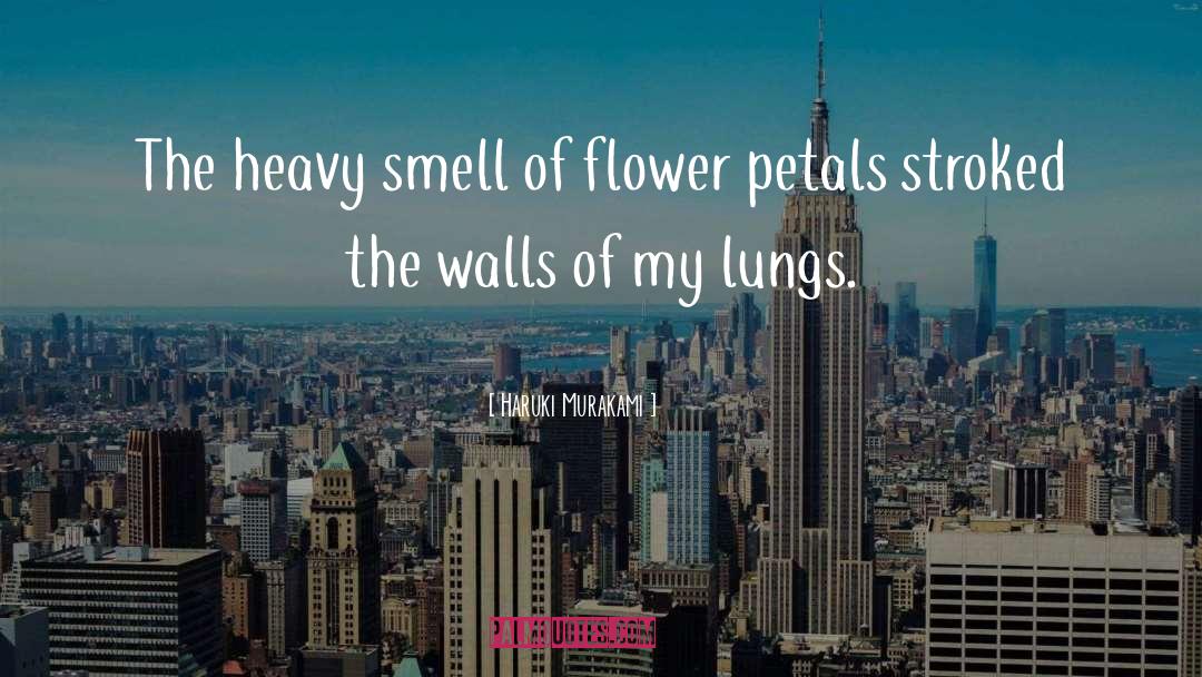 Petals quotes by Haruki Murakami
