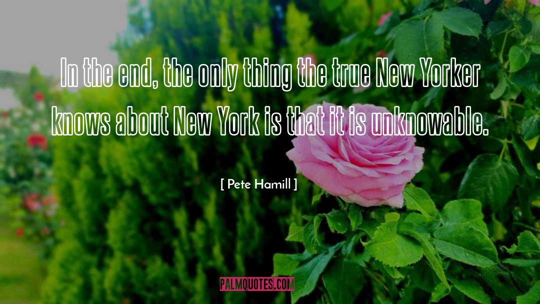 Pete Hamill quotes by Pete Hamill