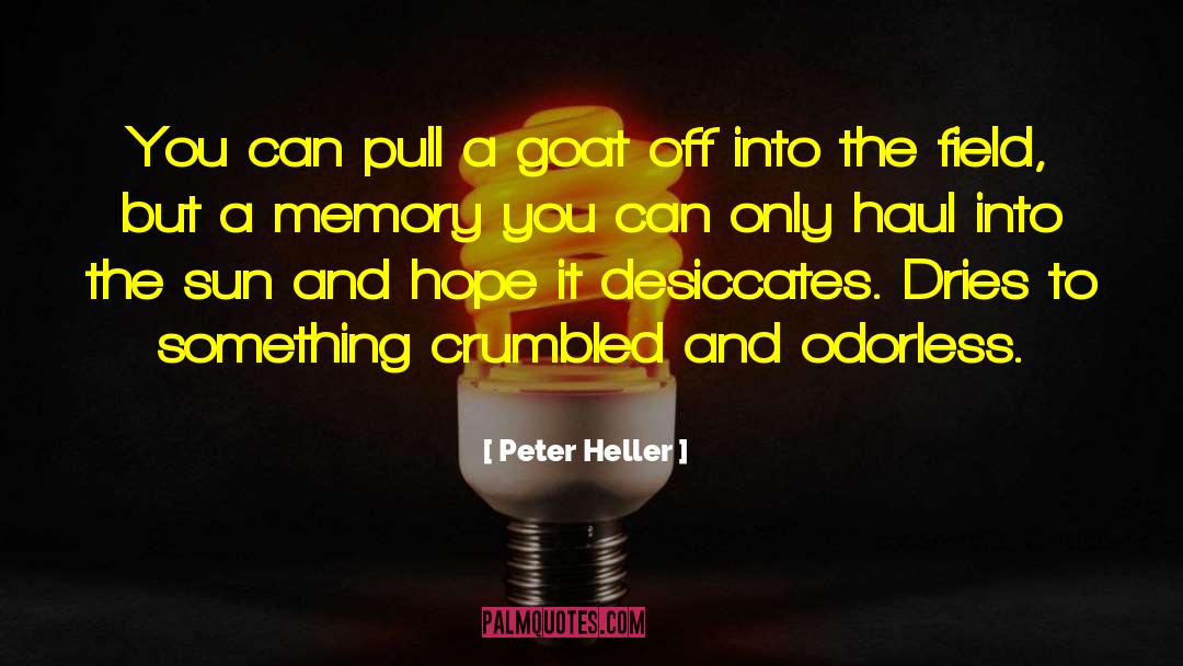 Peter Heller quotes by Peter Heller