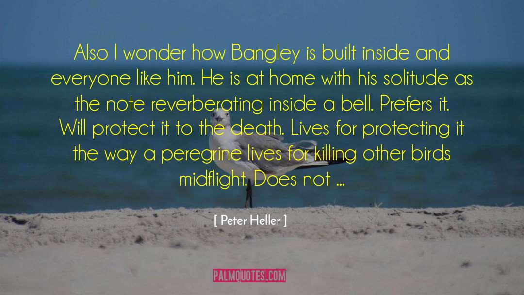 Peter Heller quotes by Peter Heller