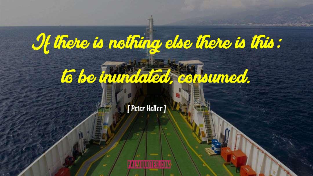 Peter Heller quotes by Peter Heller