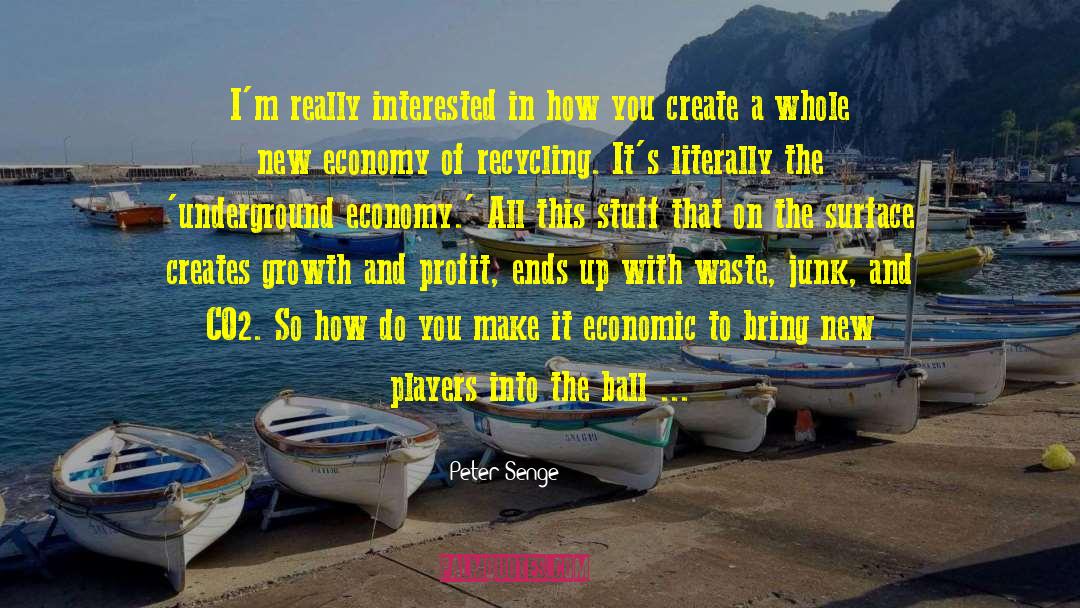 Peter Manso quotes by Peter Senge