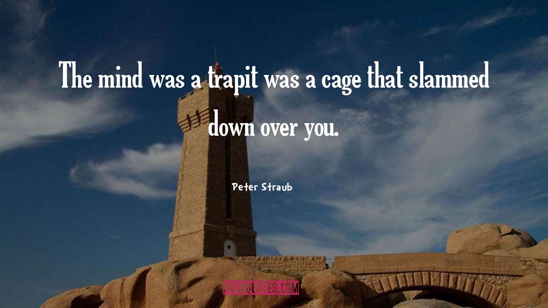 Peter Pettigrew quotes by Peter Straub