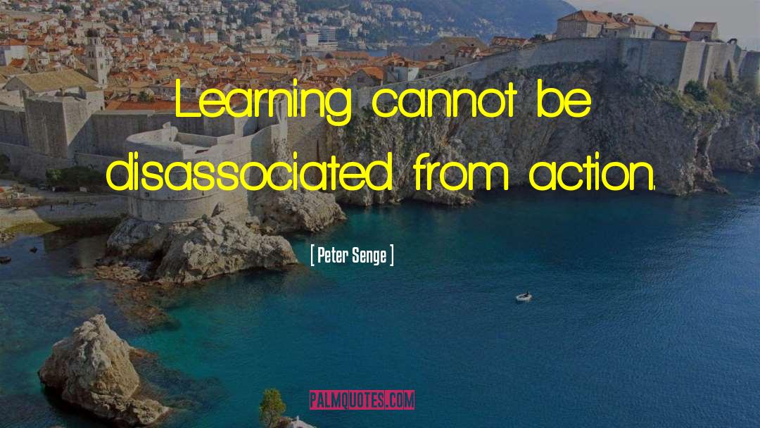 Peter Straub quotes by Peter Senge