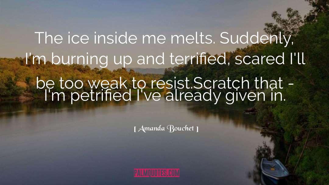 Petrified quotes by Amanda Bouchet