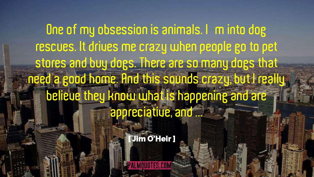 Pets quotes by Jim O'Heir