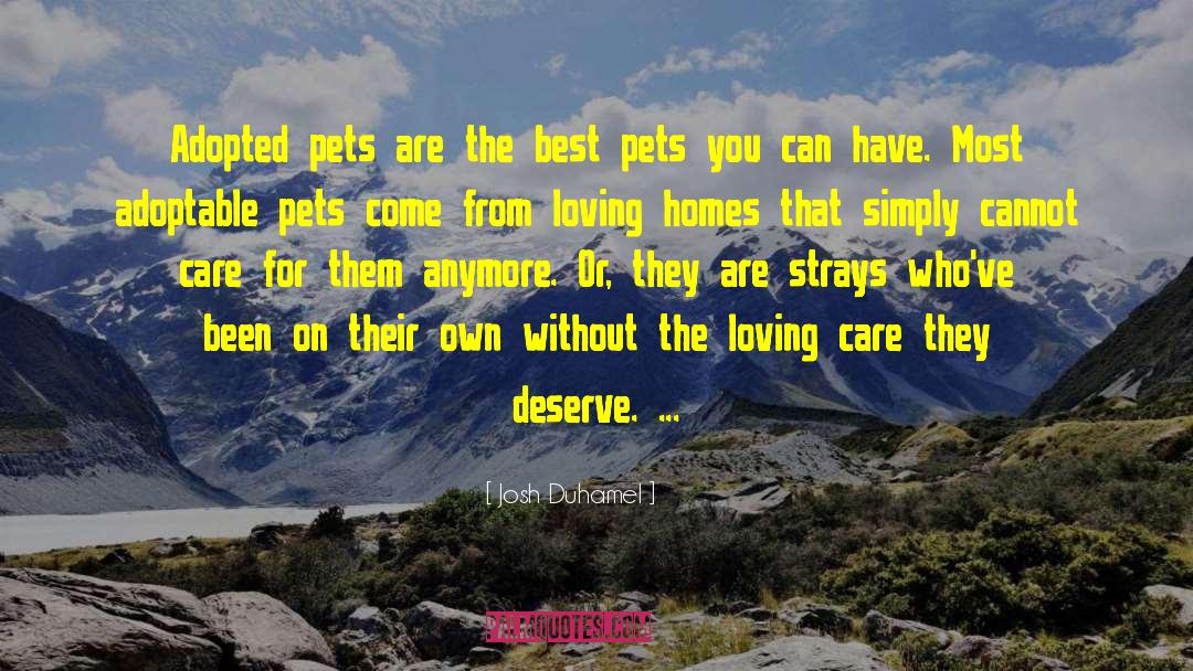 Pets quotes by Josh Duhamel