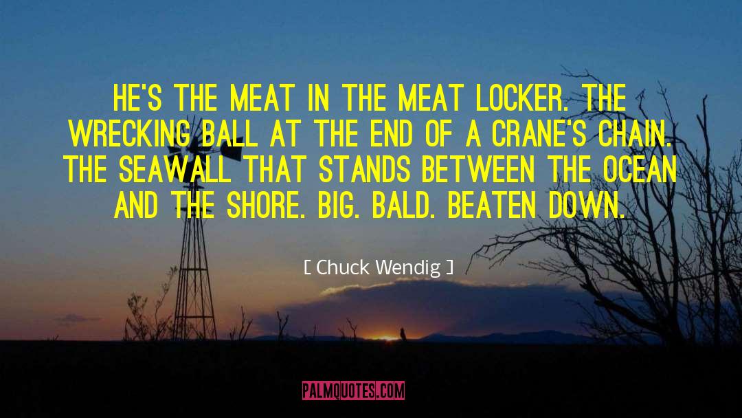 Pettinaris Meat quotes by Chuck Wendig